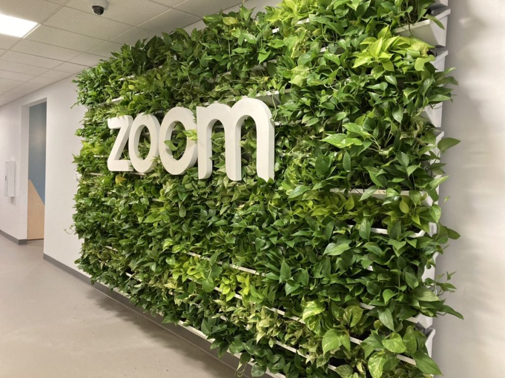 zoom greenery
