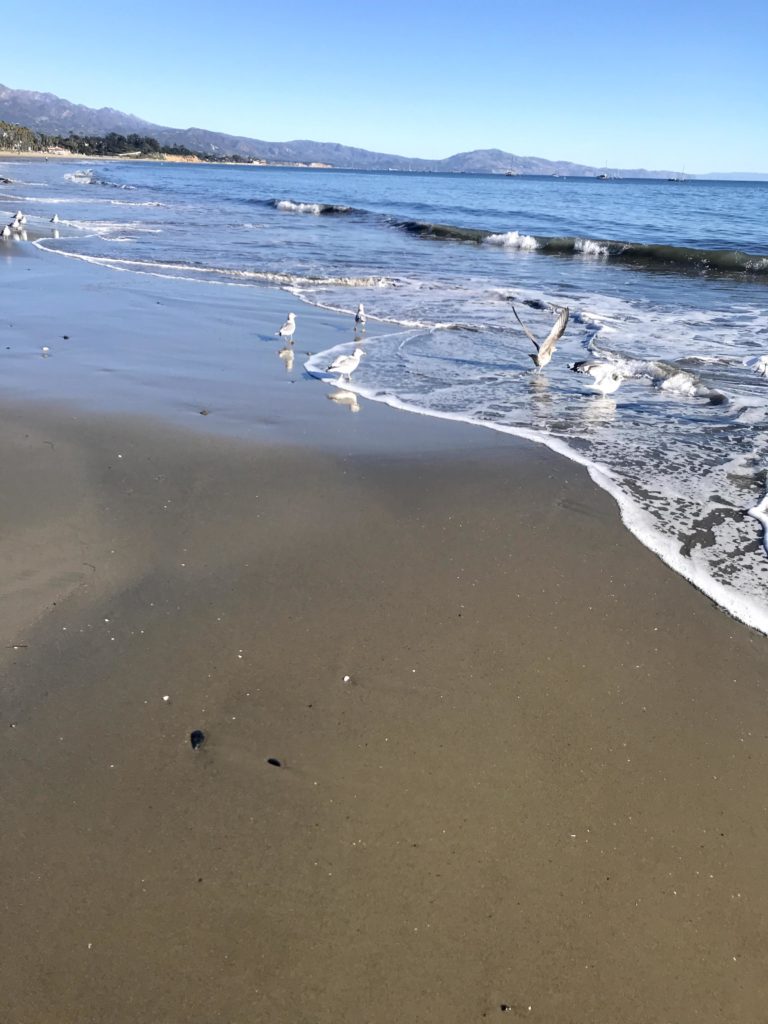 another photo of the beach