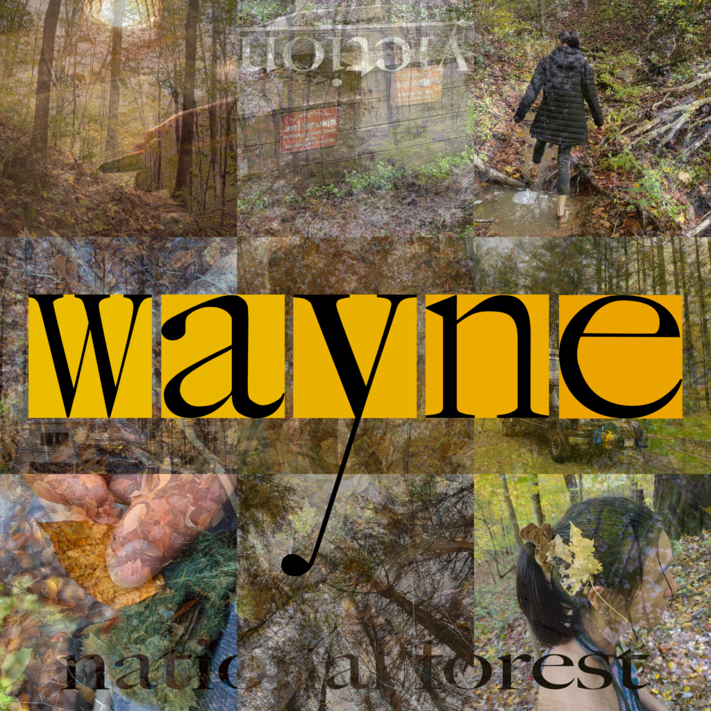 wayne album art